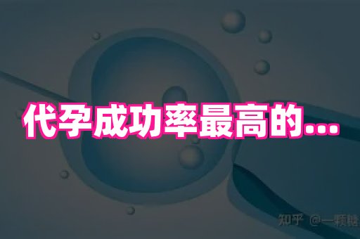 武汉助孕网站 1