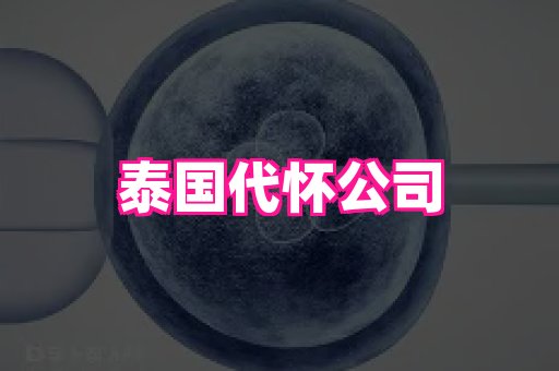 武汉助孕网站 2